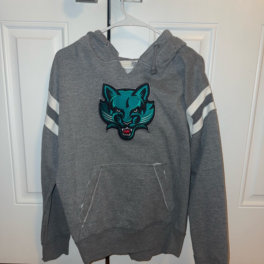 Binghamton University Mascot Sweatshirt